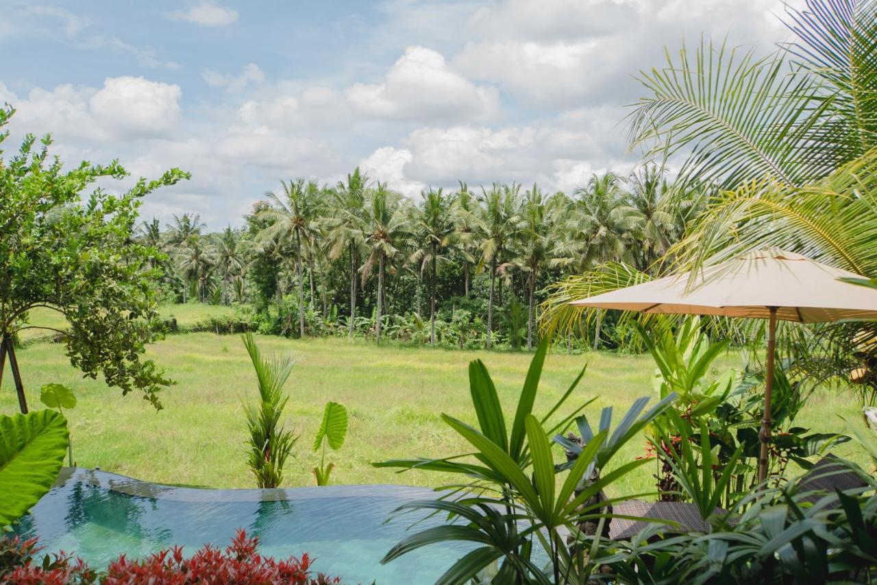 Mancur Guesthouse Ubud  Exterior photo